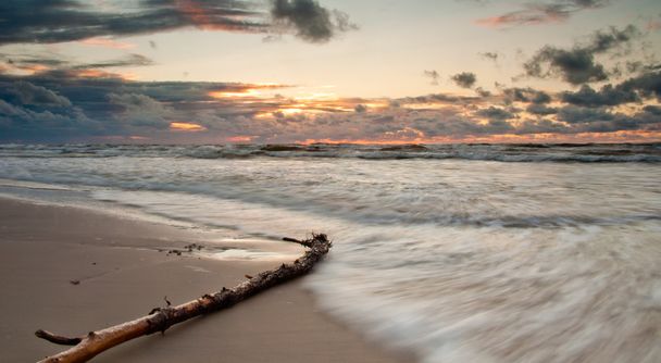 salida del sol en la playa con rama en primer plano
 - Foto, Imagen