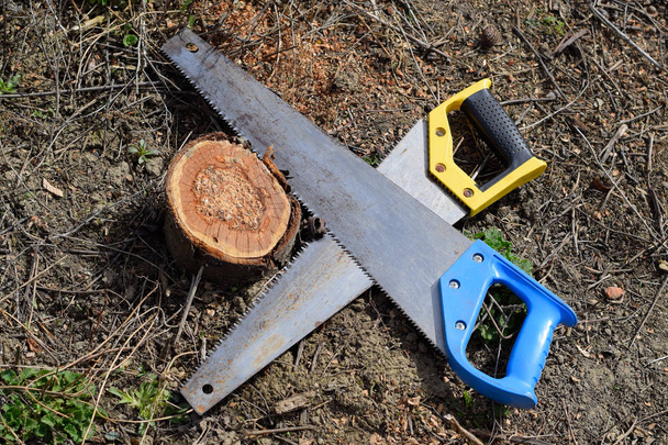 Two saws hacksaws lie across. Garden tool saw. - Zdjęcie, obraz