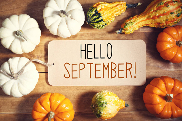 Hello September message with collection of pumpkins - Photo, Image