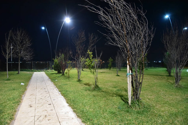 Parque nocturno en la ciudad iluminado por lámparas con camino
 - Foto, imagen