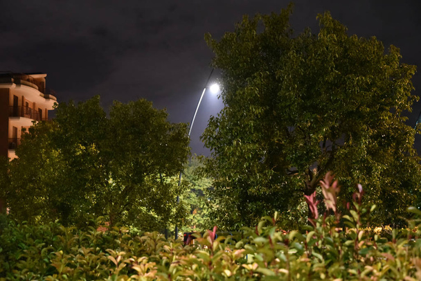 Parc nocturne dans la ville illuminé par des lampes avec chemin
 - Photo, image
