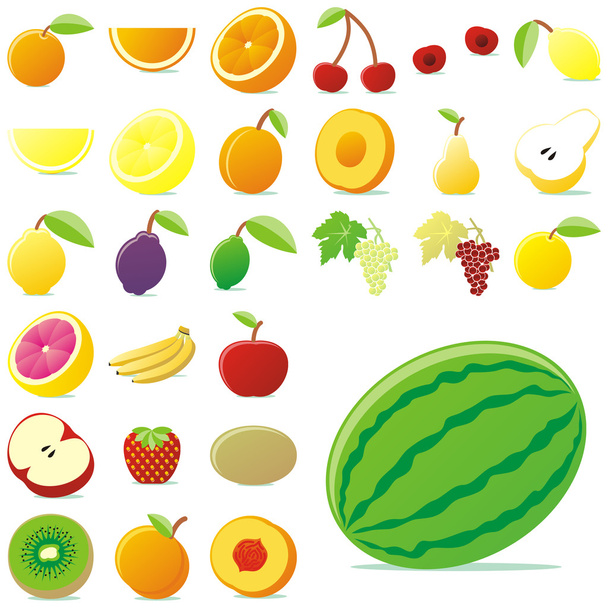 Vector fruits with details - Vector, Image