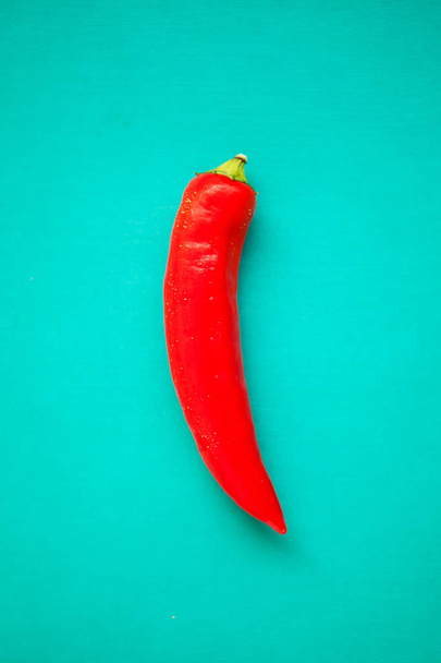 Red chili pepper on turquois background - 写真・画像