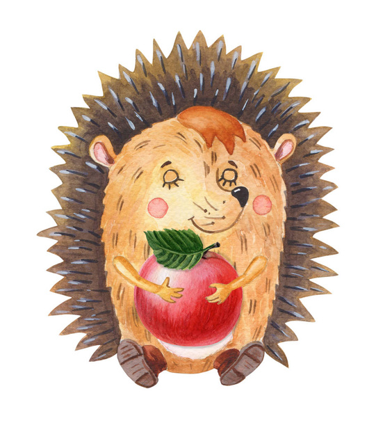 Watercolor hedgehog with red apple.One cartoon forest animal on a white background. - Φωτογραφία, εικόνα