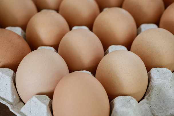 bir kağıt büyük tepside taze yumurta - Fotoğraf, Görsel