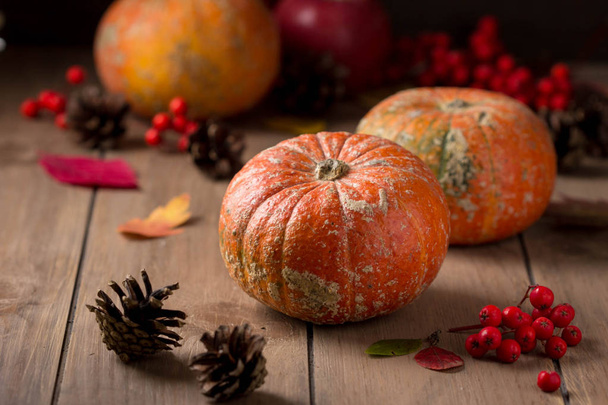 Whole decorative little raw pumpkin on dark wooden background, h - Foto, imagen