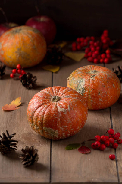 Whole decorative little raw pumpkin on dark wooden background, h - Фото, изображение