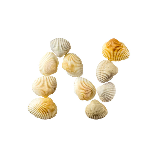Letra "n" compuesta de conchas marinas, aislada sobre fondo blanco
 - Foto, imagen