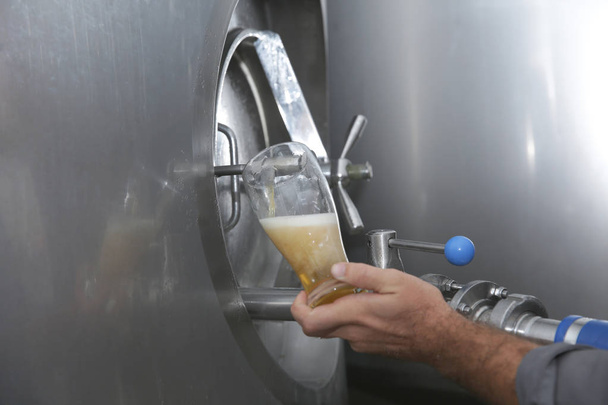 man filling a glass of beer from the tank for tasting. Metal tanks, production of alcoholic beverages. Craft brewing equipment in the brewery. - Zdjęcie, obraz