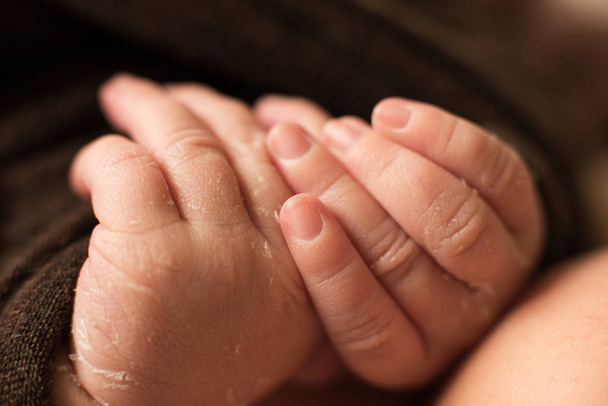 hand van de pasgeboren baby, vingers en nagels, maternale verzorging, liefde en familie knuffels, tederheid. - Foto, afbeelding