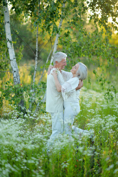 beautiful senior couple  hugging  in the park - Photo, Image