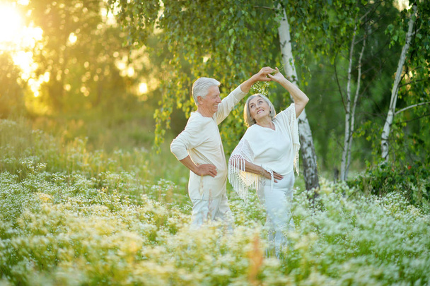 Happy senior couple dancing in summer park - Fotografie, Obrázek