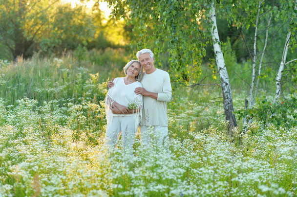 beautiful senior couple  hugging  in the park - Fotografie, Obrázek