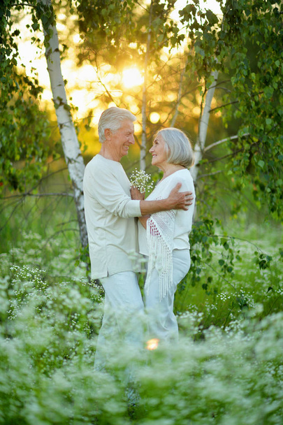 beautiful senior couple in the park with flowers  - Fotografie, Obrázek