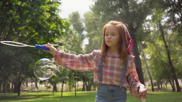 lindo niño jugando con burbujas de jabón en el parque verde
 - Imágenes, Vídeo