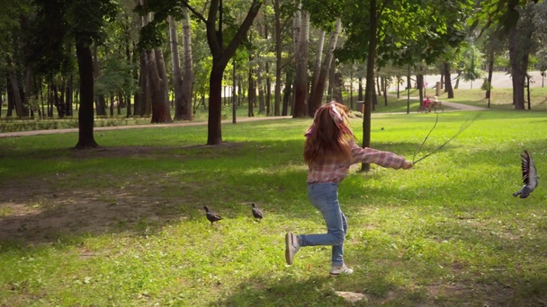 child running with stick after pigeons in park - Filmagem, Vídeo