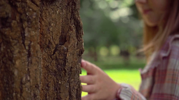 rude dziecko w dotyku Kora drzewa w zielonym słonecznym parku - Materiał filmowy, wideo
