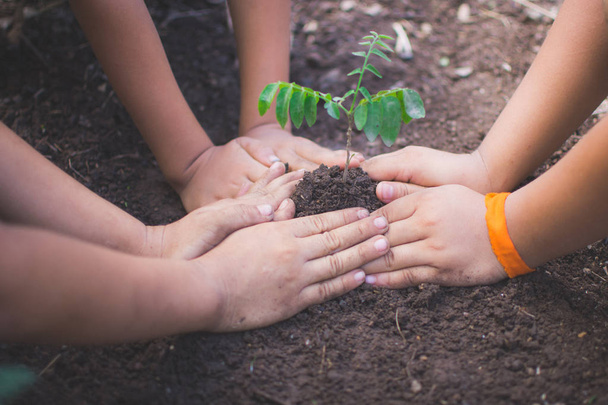 το χέρι των παιδιών που κατέχουν φυτό και το έδαφος με bokeh και φύση BA - Φωτογραφία, εικόνα
