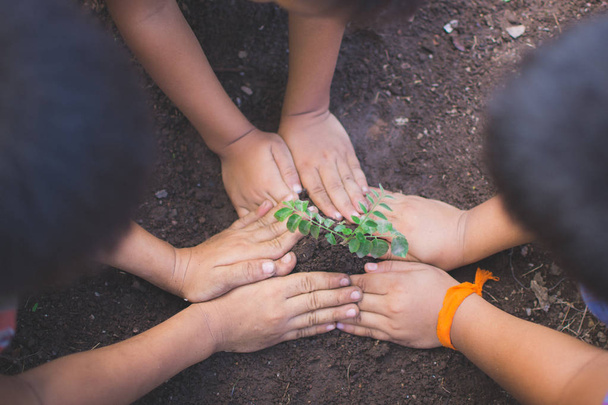 το χέρι των παιδιών που κατέχουν φυτό και το έδαφος με bokeh και φύση BA - Φωτογραφία, εικόνα