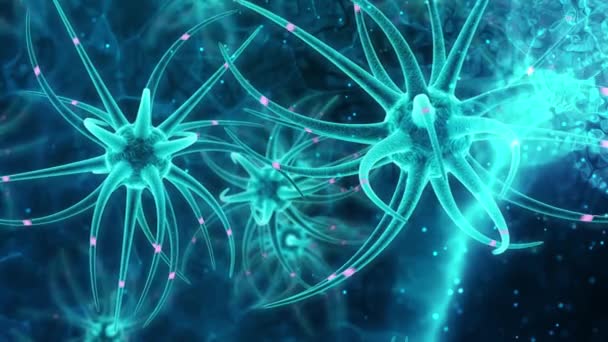 Neuronowe komórki macierzyste rozwój mózgu - Materiał filmowy, wideo