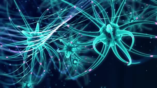 Entwicklung neuraler Stammzellen im Gehirn - Filmmaterial, Video