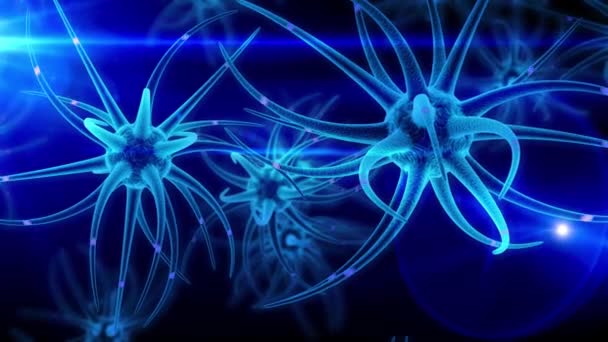 Développement du cerveau des cellules souches neuronales
 - Séquence, vidéo