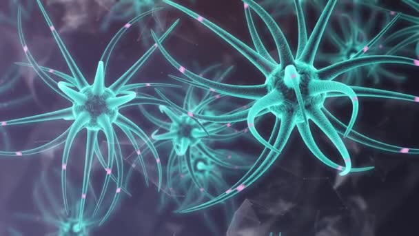 Νευροβλαστικά βλαστοκύτταρα ανάπτυξη του εγκεφάλου - Πλάνα, βίντεο