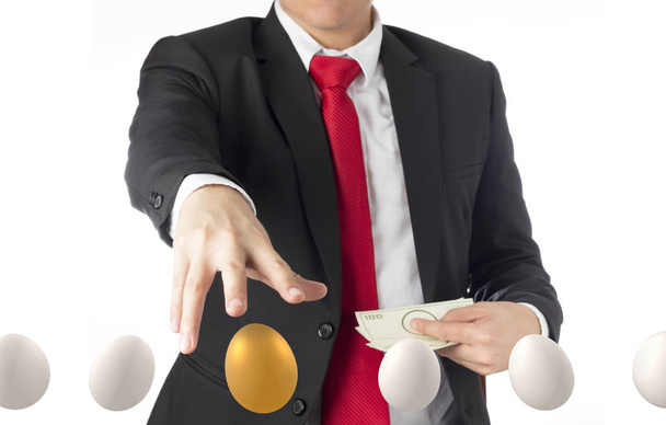 homem de negócios investir em ovo de ouro, investimento de risco conceito em ativos de negociação
 - Foto, Imagem