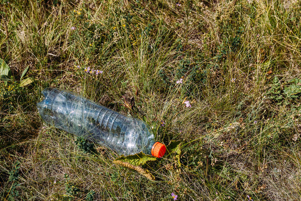 empty plastic bottle lying on the grass in the forest. - Photo, Image
