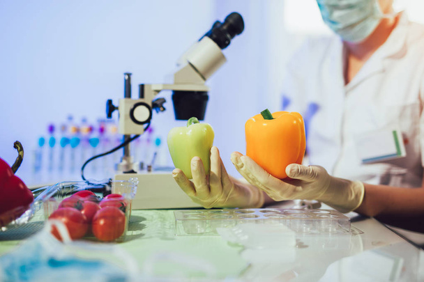 Badania żywności w laboratorium. Żywność GMO. Laboratorium - Zdjęcie, obraz