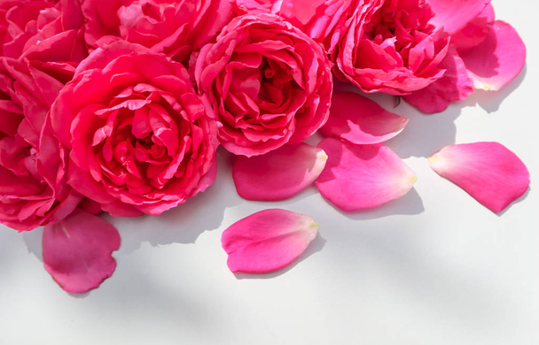 Gyönyörű rózsaszín rózsa és szirmok a fehér háttér. Ideális a g - Fotó, kép