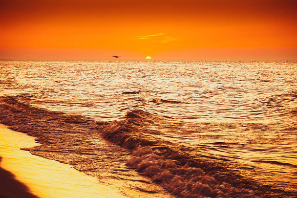 Puesta del sol - reflejo del sol en el mar / océano, orilla
 - Foto, imagen
