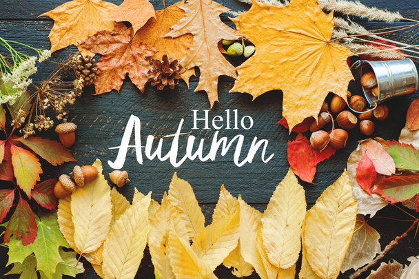 hello autumn vintage style card frame from autumnal decor - Fotoğraf, Görsel