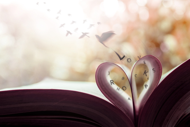 Ελευθερία και αγάπη έννοια. Πουλιά πετούν έξω σελίδα ρολό σαν μια καρδιά σχήμα στο βιβλίο. Vintage θερμό τόνο - Φωτογραφία, εικόνα