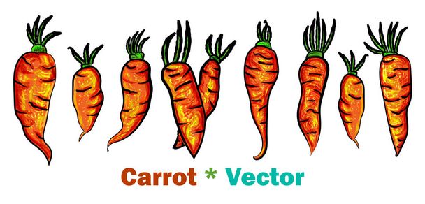 Морковь в зеленых топах. Карикатурный набор иллюстраций на белом фоне. Цветной векторный набросок свежей морковки. Векторная иллюстрация. - Вектор
 - Вектор,изображение