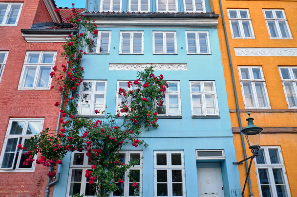 colorful and old buildings in Copenhagen - Фото, зображення