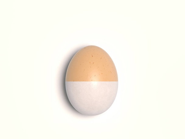 Beyaz bir arka plan üzerinde izole tek tavuk yumurtası. Bir yumurta doğal renk farklı renklerde iki bölüme ortasında bölünmüş. Kopya alanı ile yaratıcı kavramsal illüstrasyon. 3d render - Fotoğraf, Görsel