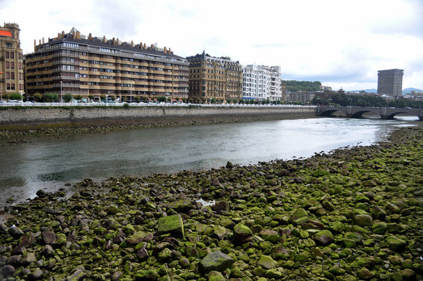 piedras verdes en la orilla del río
 - Foto, Imagen