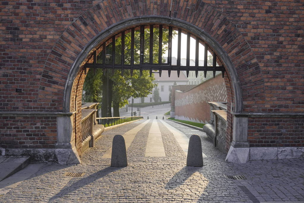 The entrance to the gate of the old castle. The road from pavement, fences from unwanted intrusion - fence and gates at dawn, soft light on an empty road in the hill. - Foto, immagini