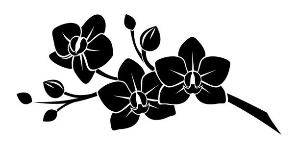 Black silhouette of orchid flowers. Vector illustration. - Vector, imagen