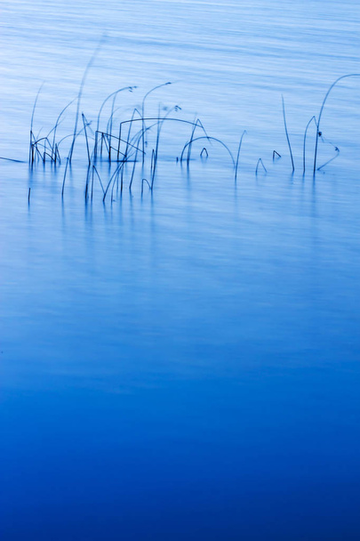 bunte Wasser Natur Hintergrund. abstrakte Wassernatur Hintergrund. Pflanzen und Spiegelungen im Wasser.  - Foto, Bild