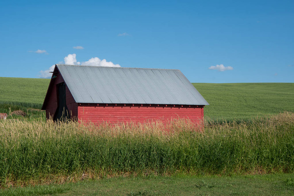 Ancienne grange rouge au milieu d'un champ dans la région de Palouse de E
 - Photo, image