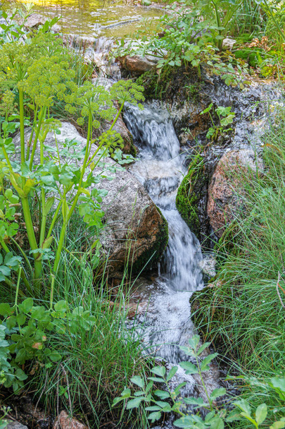 Creek in the mountains - Valokuva, kuva