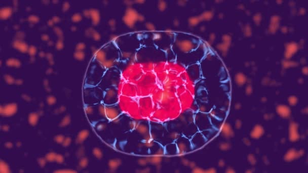 Cellular division under the microscope, stem cells dividing inside body fluid. 3D animation of dynamic cell division - Footage, Video