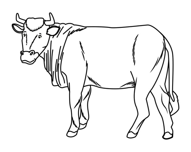 Cow animal sideview cartoon isolated in black and white - Vector, Image