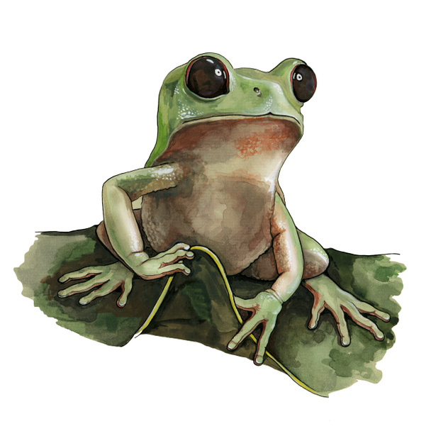 grüne Frosch-Aquarell-Illustration. handgezeichneter wilder kleiner Waldamphibie, der auf einem grünen Blatt sitzt. isoliert auf weißem Hintergrund. - Foto, Bild