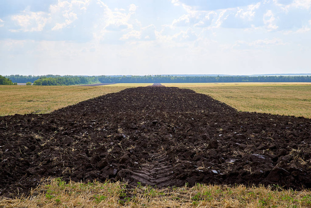 plowed land, harvested, cultivated Chernozem - Photo, Image