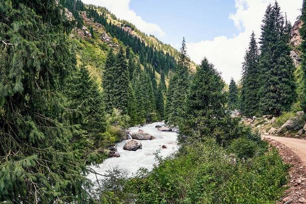 Mountain valley in the summer. A fabulous view of the mountain peaks, amazing nature. Mountain forest road. Green mountains with tall fir trees. The road goes up the mountain river - Photo, image