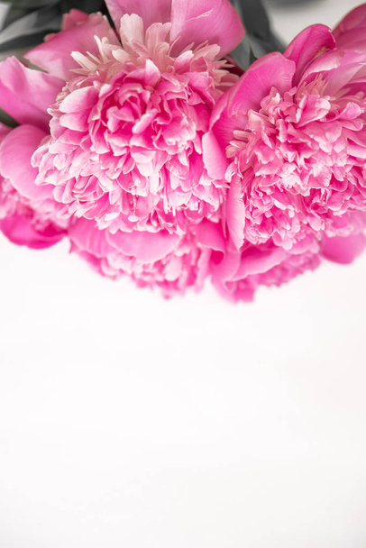 Peonies pink buds and petals on a white background space for text - Фото, зображення