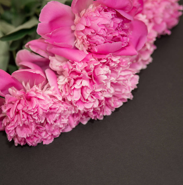 Peonies pink buds and petals on a black background space for text - Foto, Imagen